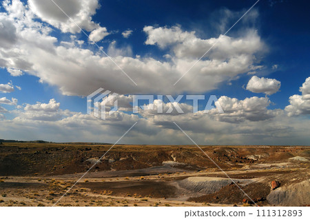 Rugged and Desolate Landscape Petrified Forest Arizona Rugged and Desolate Landscape Petrified Forest Arizona 111312893