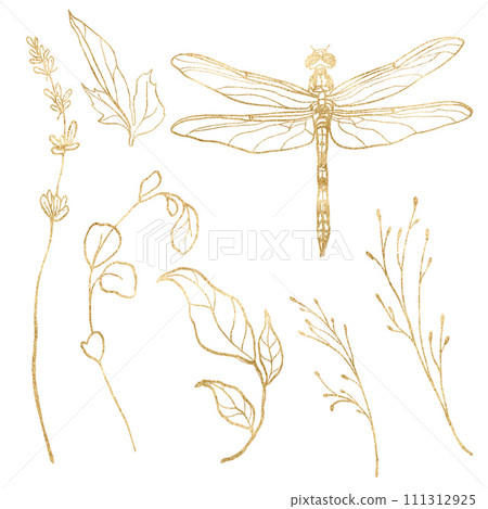 Watercolor line art set of wild meadow herbs and dragonfly. Hand painted gold plants and animal elements isolated on white background. Outdoor illustration for design, print, fabric or background. 111312925