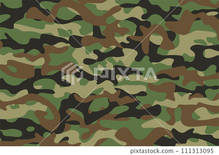 camouflage background 111313095