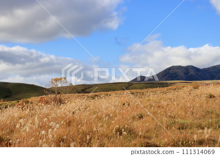 阿蘇草原 阿蘇草原 111314069