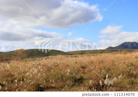 秋天大草原 秋天大草原 111314070