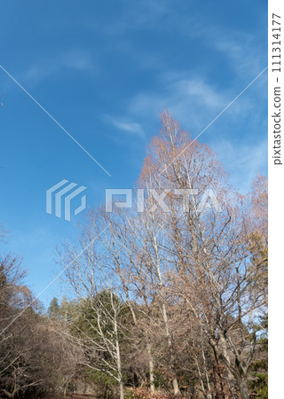 Winter landscape of lakeside fields, Hirako, Kusatsu City, Shiga Prefecture 111314177