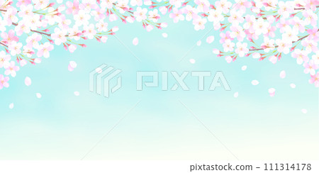 櫻花和藍天的背景圖 111314178