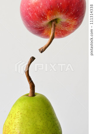 Connection between fruits on white background Connection between fruits on white background 111314338