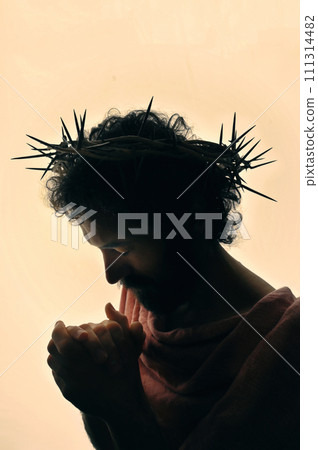 Jesus Christ Portrait with crown of thorns 111314482