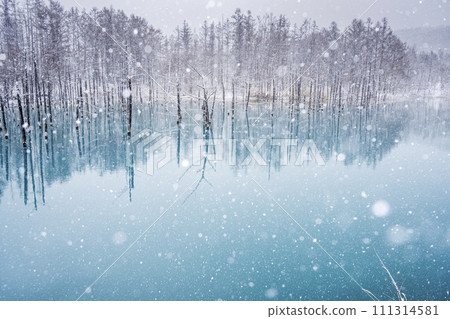 Snowy blue pond 111314581