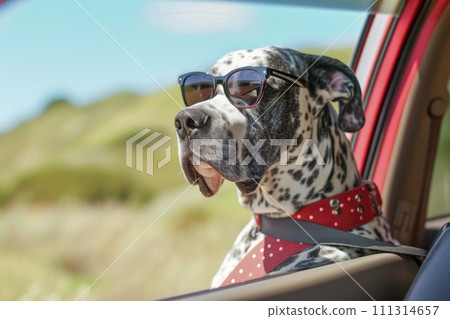 Dog Enjoying Car Ride 111314657