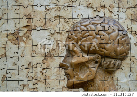 Brain Puzzle Concept Art Brain Puzzle Concept Art 111315127