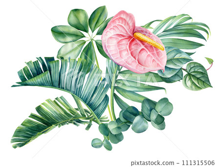 Tropical flowers and leaves. Realistic botanical illustration isolated background, watercolor Pink flower. jungle design 111315506