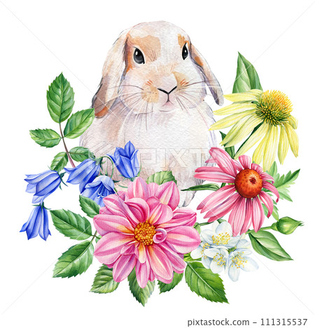 Rabbit and flower, baby bunny on isolated white background. Watercolor hand drawn illustration. Set of cute animals 111315537