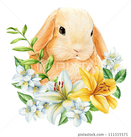 Little bunny and flowers on isolated white background, watercolor cute animal illustration, easter bunny. spring rabbit Little bunny and flowers on isolated white background, watercolor cute animal illustration, easter bunny. spring rabbit 111315571