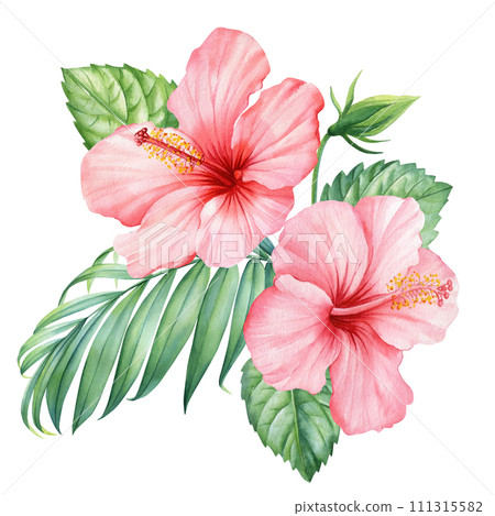 Tropical flowers Hibiscus and palm leaves isolated background, floral watercolor illustration, Pink flora composition 111315582