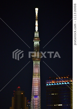Lighted Sky Tree 111316008
