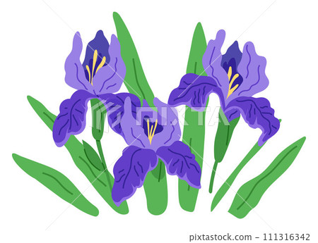 Spring flower vector illustration. The flowered landscape evoked sense joy and wonder in spring The botanical garden exhibited array springtime flora The bloomy atmosphere created by spring flowers 111316342