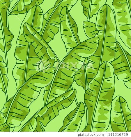 Pattern with banana palm leaves. Decorative image of tropical foliage and plants. 111316729