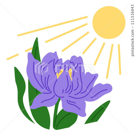 Spring flower vector illustration. The spring flower concept embodied spirit growth and transformation The blossoming trees created magical atmosphere in springtime The flourishing plants showcased Spring flower vector illustration. The spring flower concept embodied spirit growth and transformation The blossoming trees created magical atmosphere in springtime The flourishing plants showcased 111316843