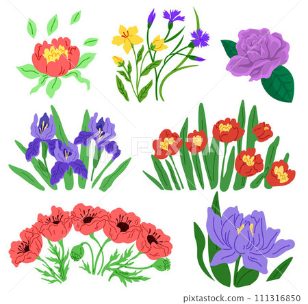 Spring flower vector illustration. The blooming flowers symbolized rejuvenation nature in spring The botanical garden was sanctuary tranquility amidst blooming flowers The spring flower concept 111316850