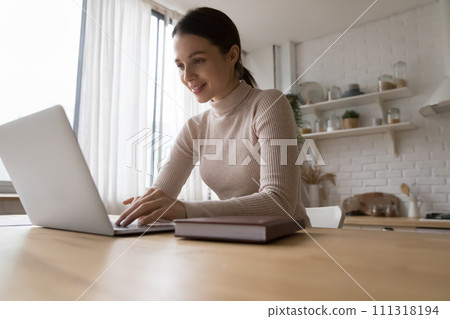 Attractive woman working using laptop seated in kitchen at home Attractive woman working using laptop seated in kitchen at home 111318194