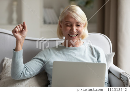 Excited mature woman using laptop, celebrating online success, good news Excited mature woman using laptop, celebrating online success, good news 111318342