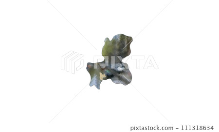 [Alpha Channel] 3D equilibrium projection of Gifu Prefecture that emphasizes the topography of Gifu 111318634