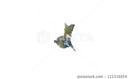 [Alpha頻道] 茨城縣3D透視投影突顯水戶地形 111318854