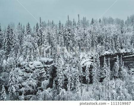 Snow forest on the rocks. Nature landscape winter forest frosted. Snow forest on the rocks. Nature landscape winter forest frosted. 111319987