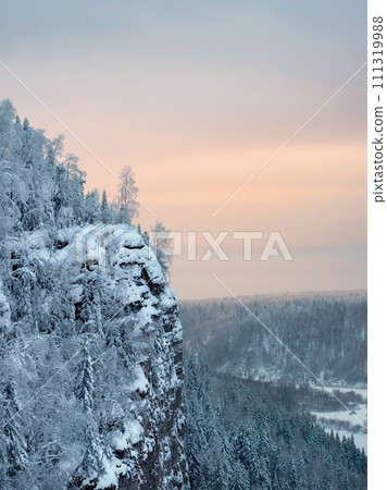 Snow forest on the rocks. snow-covered mountain trees on the cliff 111319988