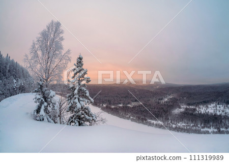Amazing winter snow-covered mountain trees on the cliff, Amazing winter snow-covered mountain trees on the cliff, 111319989
