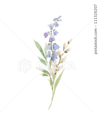 Beautiful floral illustration with watercolor hand drawn spring flowers. Stock clip art. Beautiful floral illustration with watercolor hand drawn spring flowers. Stock clip art. 111320207