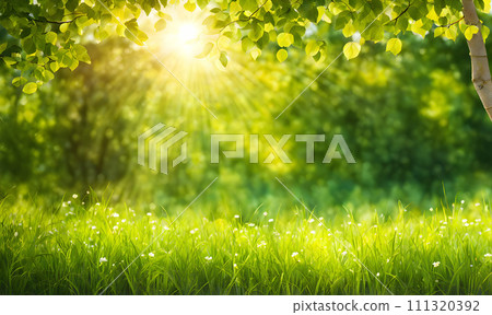 Background depicting a summer scene in soft focus, featuring sunlit bokeh 111320392