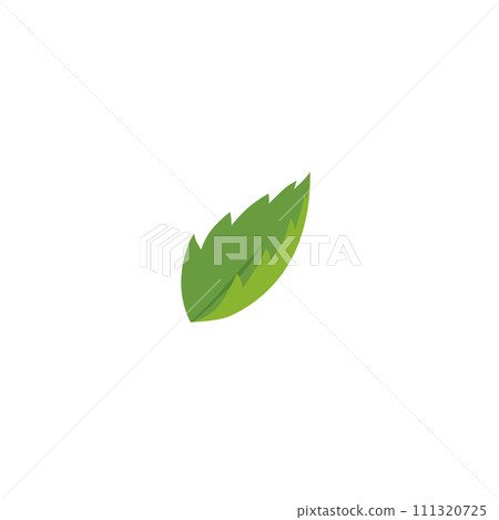 Fresh green strawberry leaf for food labels, flat vector illustration isolated. 111320725