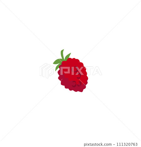 Fresh raspberry with leaves whole vector illustration, farm organic natural one berry, juicy sweet fruit food Fresh raspberry with leaves whole vector illustration, farm organic natural one berry, juicy sweet fruit food 111320763