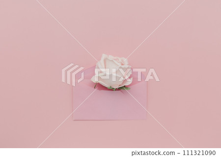 Romantic Pink Rose and Petals in a Festive Gift Envelope for Valentine's Day, Holidays, Love Celebrations, Birthdays, Anniversaries, Weddings, or any Special Occasion Decoration 111321090