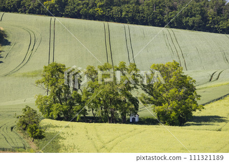 Landscape with chapel of St. Barborkas near Strazovice, Southern Moravia, Czech Republic Landscape with chapel of St. Barborkas near Strazovice, Southern Moravia, Czech Republic 111321189