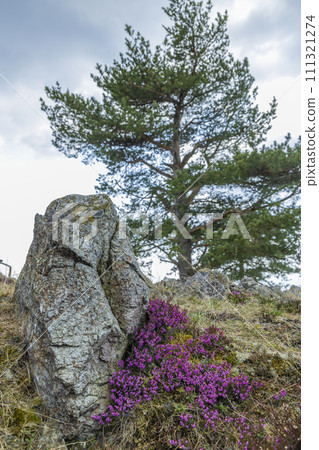 Krizky National Natural Monument, Western Bohemia, Czech Republic Krizky National Natural Monument, Western Bohemia, Czech Republic 111321274