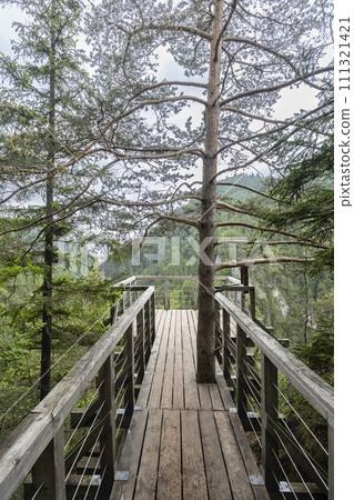Kvacianska valley in spring time, Chocske vrchy, Slovakia Kvacianska valley in spring time, Chocske vrchy, Slovakia 111321421