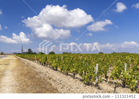 Vineyards near Saint-Julien-Beychevelle, Bordeaux, Aquitaine, France Vineyards near Saint-Julien-Beychevelle, Bordeaux, Aquitaine, France 111321452