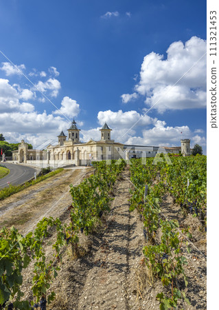 Vineyards with Chateau Cos d'Estournel, Bordeaux, Aquitaine, France Vineyards with Chateau Cos d'Estournel, Bordeaux, Aquitaine, France 111321453