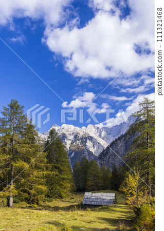 Landscape near Vrsic, Triglavski national park, Slovenia 111321468