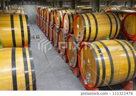 wine cellar full of wooden barrels in Barolo, Piedmont, Italy 111321478