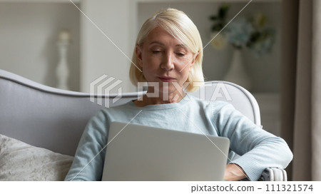 Serious mature woman looking at laptop screen, working at home 111321574