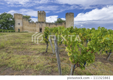 Budos castle (Chateau de Budos) in Sauternes wine region, Gironde departement, Aquitaine, France Budos castle (Chateau de Budos) in Sauternes wine region, Gironde departement, Aquitaine, France 111321661