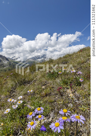 Landscape near Col de l'Iseran, Savoy, France 111321662