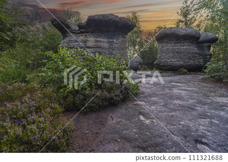 Landscape in a nature reserve Broumovske steny, eastern Bohemia, Czech Republic 111321688