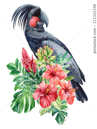 Tropical bird watercolor illustration hand drawn cockatoo black parrot, summer flowers, palm leaf, isolated background. Tropical bird watercolor illustration hand drawn cockatoo black parrot, summer flowers, palm leaf, isolated background. 111322348