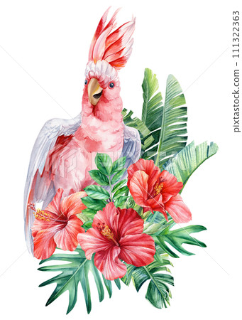 Exotic pink bird watercolor illustration hand drawn cockatoo parrot, summer flora, palm leaf, isolated white background 111322363