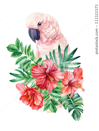 Tropical bird watercolor illustration hand drawn cockatoo parrot, summer flowers, palm leaf, isolated white background. Tropical bird watercolor illustration hand drawn cockatoo parrot, summer flowers, palm leaf, isolated white background. 111322371