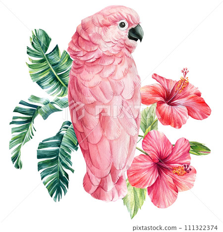 Tropical bird watercolor illustration hand drawn cockatoo parrot, summer flowers, palm leaf, isolated white background. Tropical bird watercolor illustration hand drawn cockatoo parrot, summer flowers, palm leaf, isolated white background. 111322374