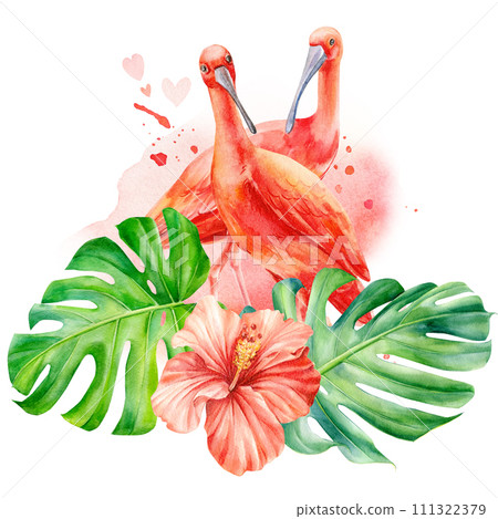 Tropical flowers, palm leaves and ibis birds. Jungle botanical watercolor illustrations, monstera, palm leaves, hibiscus Tropical flowers, palm leaves and ibis birds. Jungle botanical watercolor illustrations, monstera, palm leaves, hibiscus 111322379