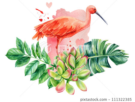 Tropical green palm leaves and ibis bird. Jungle botanical watercolor illustrations, monstera, palm leaves, succulent Tropical green palm leaves and ibis bird. Jungle botanical watercolor illustrations, monstera, palm leaves, succulent 111322385